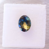 Natural Parti Sapphire 001