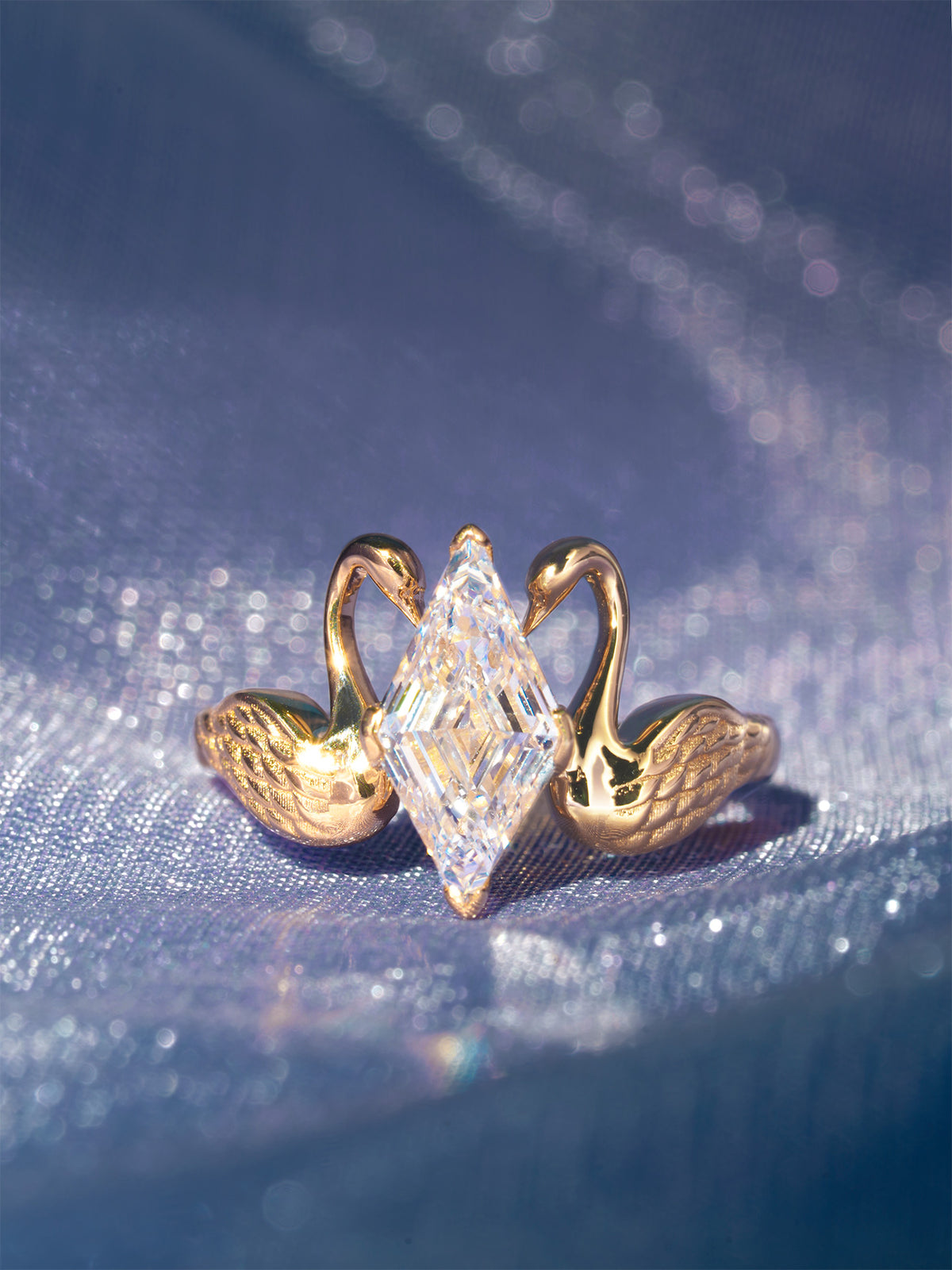 Poème Engagement Rings
