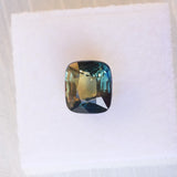 Natural Parti Sapphire [Cushion Cut] 002