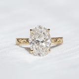 [Draped Halo] Hand Engraved Engagement Ring, Tapered Band